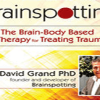 David Grand – Brainspotting