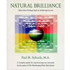 Paul Scheele – Natural Brilliance