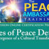 The Peace Ambassador Training