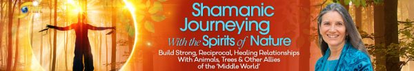 Sandra Ingerman – Shamanic Journeying With The Spirits Of Nature