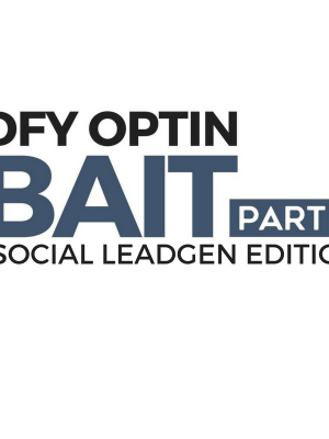 Ben Adkins – Dfy Optin Bait 2 (advanced)