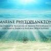 Eric Thompson – Marine Phytoplankton