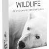 Chase Teron – The Ultimate Wildlife Photography Bundle