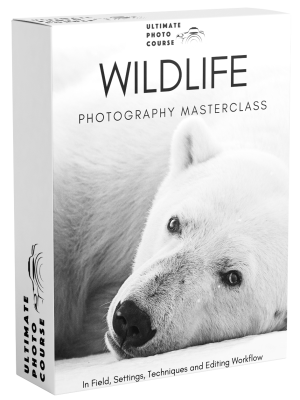 Chase Teron – The Ultimate Wildlife Photography Bundle