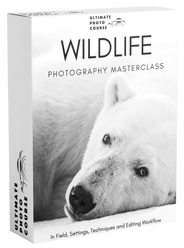 Chase Teron – The Ultimate Wildlife Photography Bundle