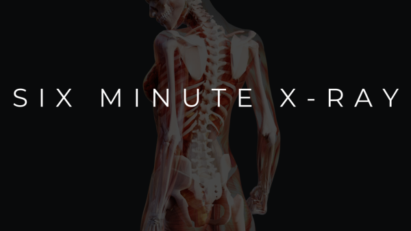 Six-minute X-ray Course – Behavior Pilot