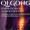 Bruce Frantzis – Qigong For Neck Back And Shoulder Pain