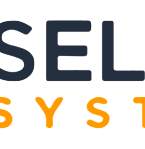 Seller Systems, Brandon Young – Ppc Masterclass And Workshop Offer