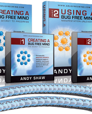 A Bug Free Mind – Andy Shaw