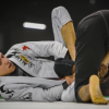 Aaron Benzrihem – Basics To Advanced – The Half Butterfly Guard