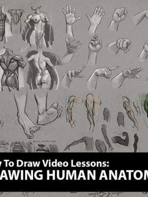 Aaron Blaise – Drawing Human Anatomy