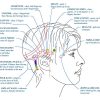 Access Consciousness – Bars Training