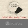 Adyashanti – The way of Liberating Insight – Study Course