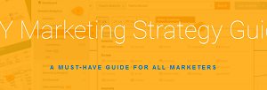 Annie Cushing – Marketing Strategy Guide