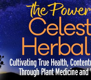 Arjun Das – The Power of Celestial Herbalism