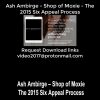 Ash Ambirge – Shop of Moxie – The 2015 Six Appeal Process