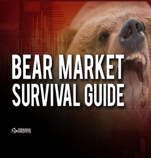 Bear Market Survival Guide – Special Rate