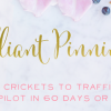 Beth Ann – Brilliant Pinning