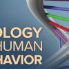 Biology and Human Behavior