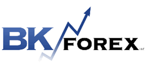 Bkforex – forex fundamentals course