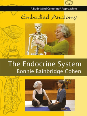 Bonnie Bainbridge Cohen – Embodied Anatomy and the Endocrine System