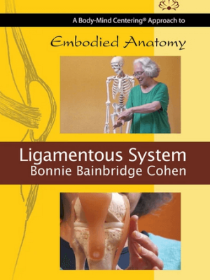 Bonnie Bainbridge Cohen – Embodied Anatomy and the Ligamentous System