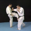 Born to be Strongest – Kyokushin Karate Instructional 4 DVD Set