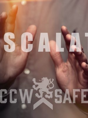 CCW Safe Academy – The Art of De-Escalation