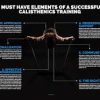 Calisthenics Academy – Calisthenics Fundamentals Course