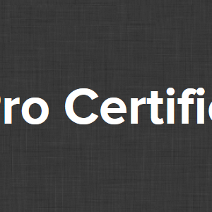 Chase Reiner – SEO Pro Certification