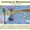 Connirae Andreas – 3-day Wholeness Training