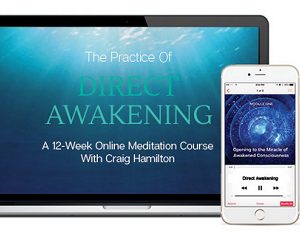 Craig Hamilton – The Practice Of Direct Awakening