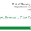 Critical Thinking at Work—Simple Ideas on a Crucial Topic