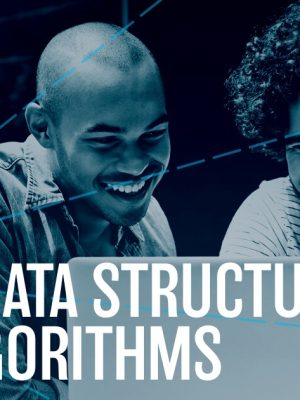 Data Structures and Algorithms Nanodegree nd256 v2.0.0