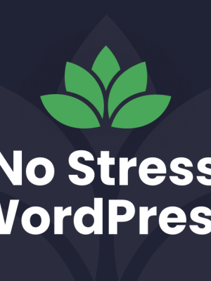 Dave Foy – No Stress WordPress 2.0