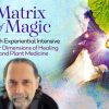 David Crow – Matric of Magic – 6 – Month Experiential Intensive