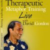 David Gordon – Therapeutic Metaphor Training LIVE