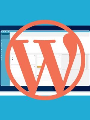 Dennis Lonmo – Complete WordPress Dashboard Course Beginner to Advanced