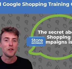 Dennis Moons – Google Shopping Success Course