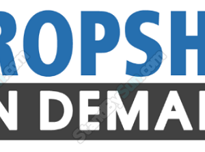 Donald Wilson – Dropship on Demand