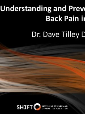 Dr. Dave Tilley – Keys To Developing Flexibility and Strength In Gymnastics