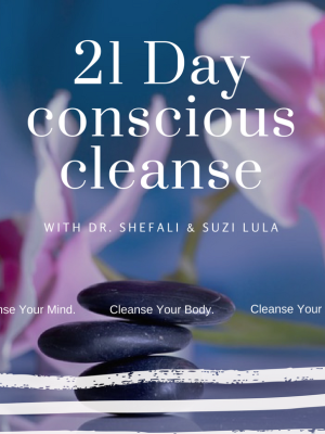 Dr. Shefali & Suzi Lula – The 21 Day Conscious Cleanse