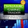 Dynamic Swing Trader – NETPICKS (Unlocked)