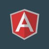 EDUFYRE BUNDLES – Learn Angular JS for Beginners Deal