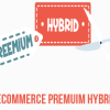 Ecommerce Premium Hybrid