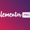 Elementor Pro – Improve Every Aspect of Your WordPress Design Live