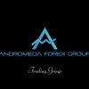 Fundamentals of Forex Trading – Andromeda FX Trading Academy