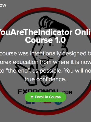 FxProNow – You AreThe Indicator Online Course