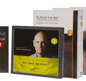 Genpo Roshi – Big Mind DVD Vol 1 – 2 – 3 – 4 – 5 – 6 (AudioRip)