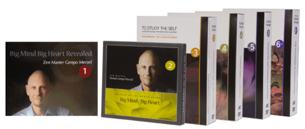 Genpo Roshi – Big Mind DVD Vol 1 – 2 – 3 – 4 – 5 – 6 (AudioRip)